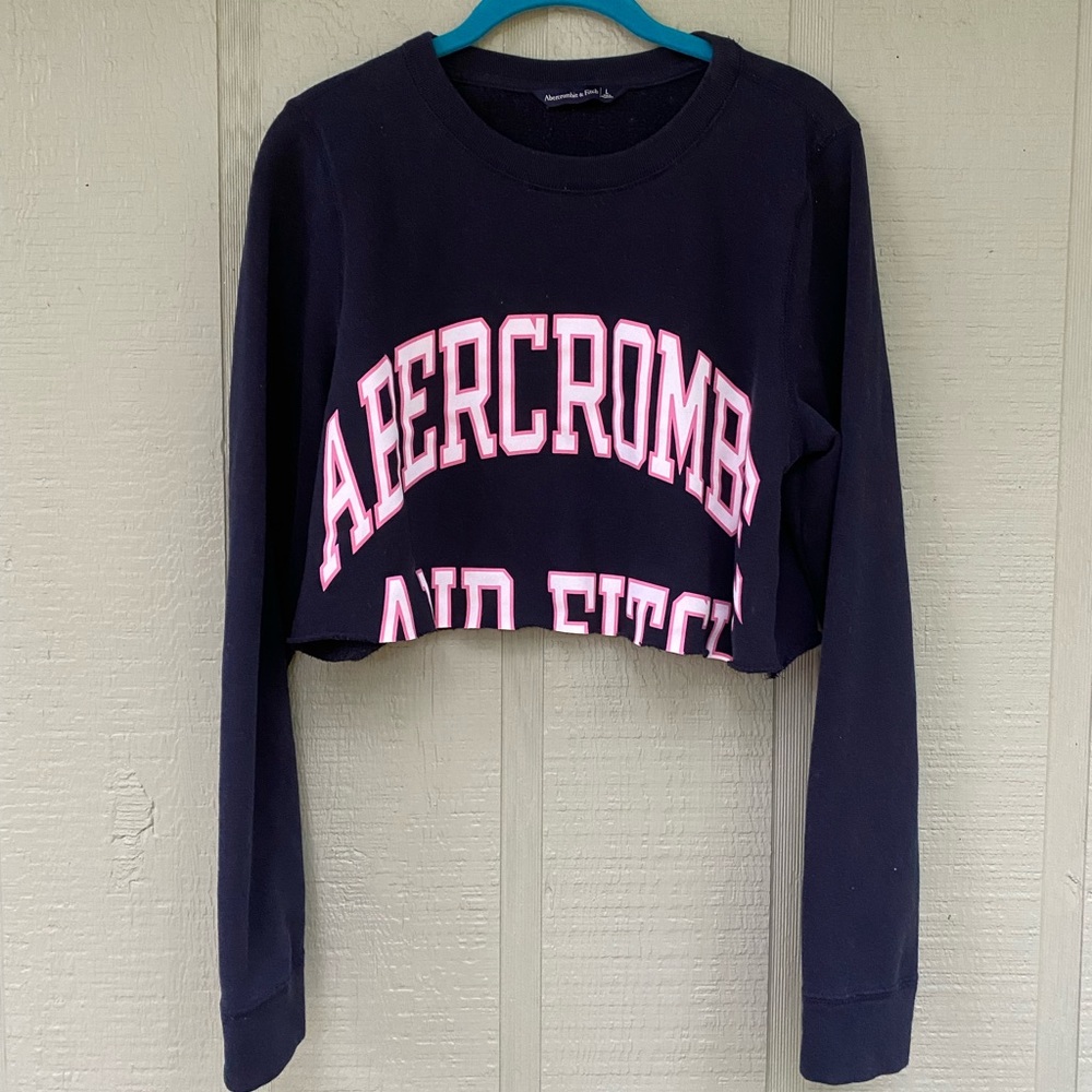 Abercrombie and Fitch Crop Sweatshirt
